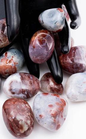 Tumbled Crystals | Red Agate XL Premium-Tumble Stones-Tragic Beautiful