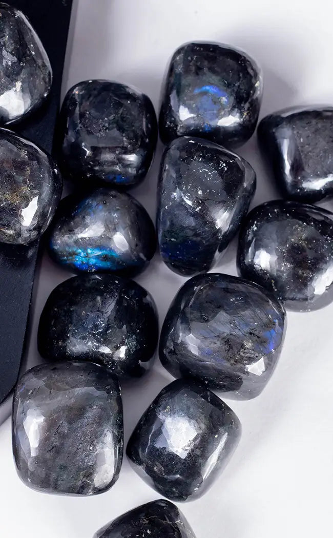 Tumbled Stones | Black Labradorite-Tumble Stones-Tragic Beautiful