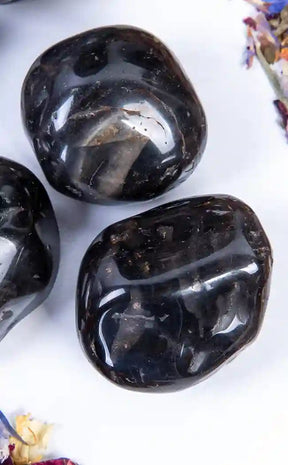 Tumbled Stones | Black Onyx-Crystals-Tragic Beautiful