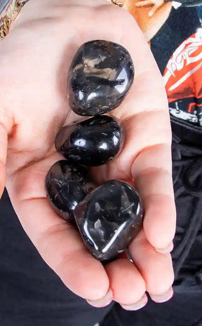 Tumbled Stones | Black Onyx-Crystals-Tragic Beautiful