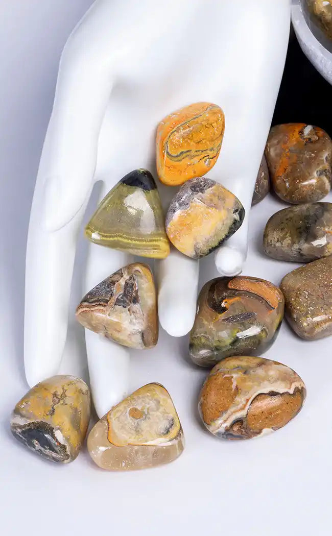 Tumbled Stones | Bumblebee Jasper Q1-Crystals-Tragic Beautiful