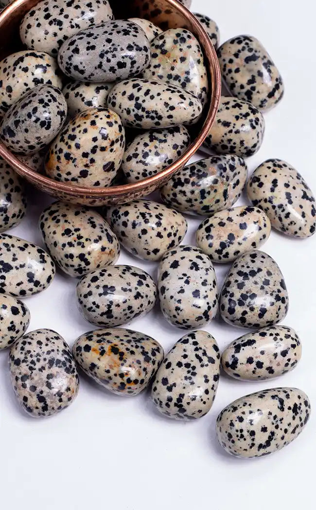 Tumbled Stones | Dalmatian Jasper-Crystals-Tragic Beautiful
