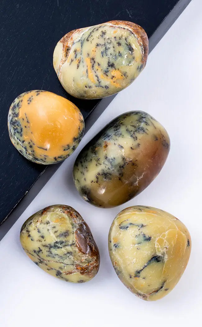 Shop Tumbled Stones & Crystals - Tragic Beautiful