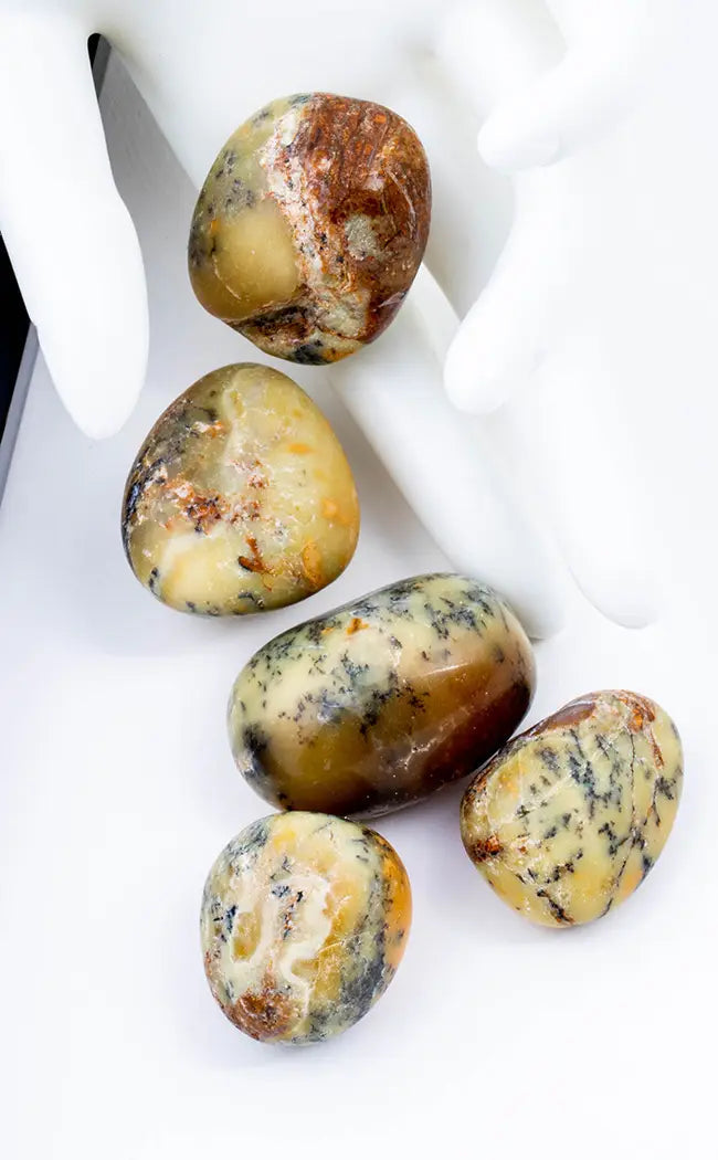 Shop Tumbled Stones & Crystals - Tragic Beautiful