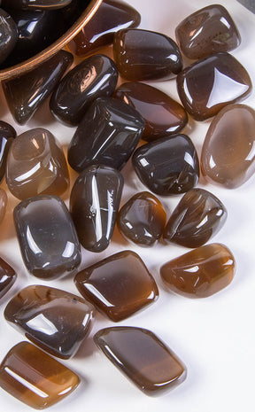 Tumbled Stones | Honey Chalcedony-Crystals-Tragic Beautiful