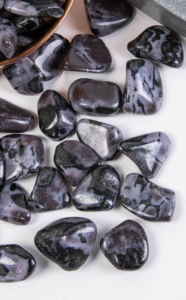 Tumbled Stones | Indigo Gabbro-Crystals-Tragic Beautiful