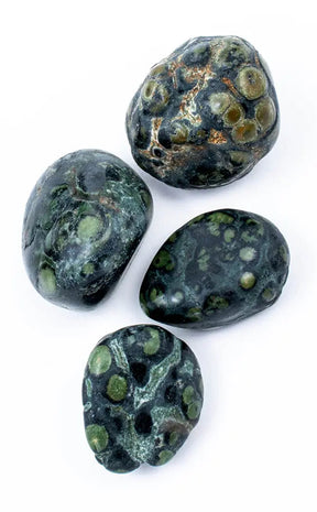Tumbled Stones | Leopard Skin Jasper-Tumble Stones-Tragic Beautiful