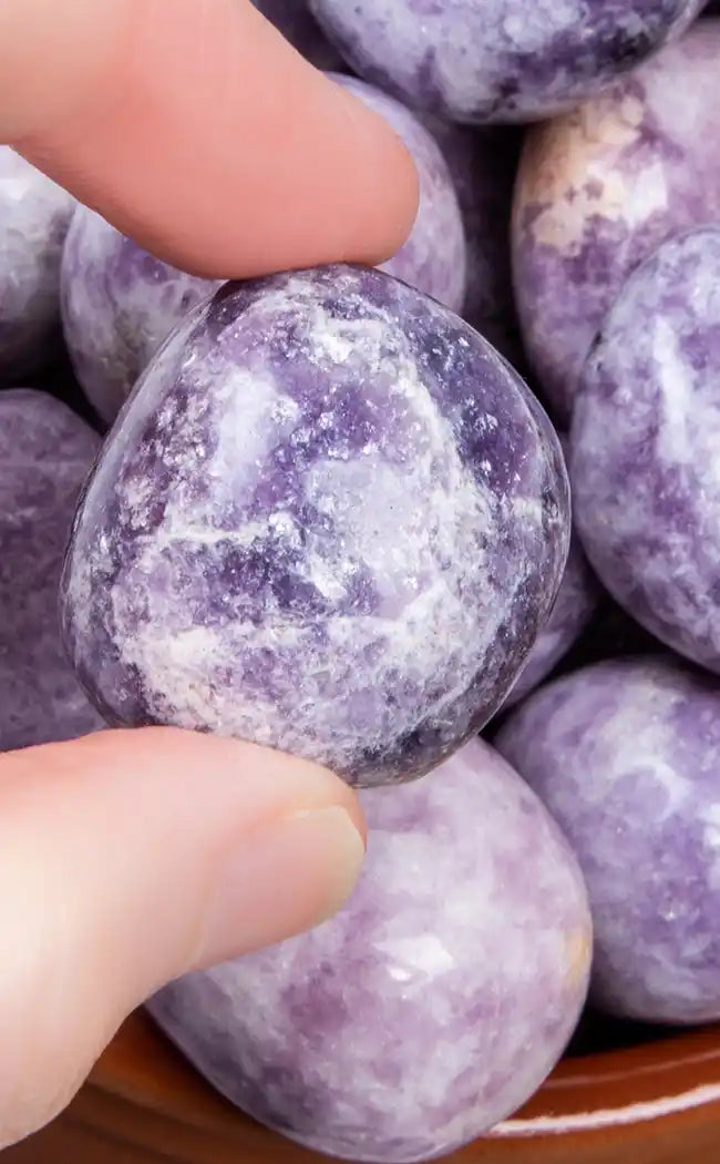 Tumbled Stones | Lepidolite-Crystals-Tragic Beautiful