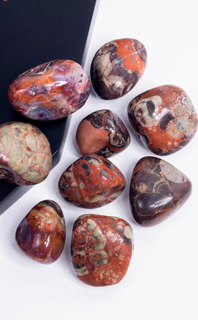 Tumbled Stones | Mushroom Rhyolite | Premium XL-Tumble Stones-Tragic Beautiful