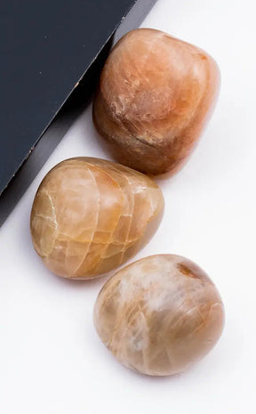 Tumbled Stones | Peach Moonstone-Tumble Stones-Tragic Beautiful