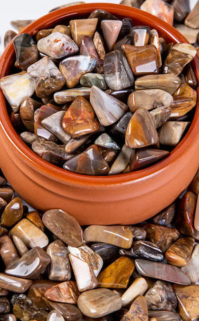 Tumbled Stones | Petrified Wood-Crystals-Tragic Beautiful
