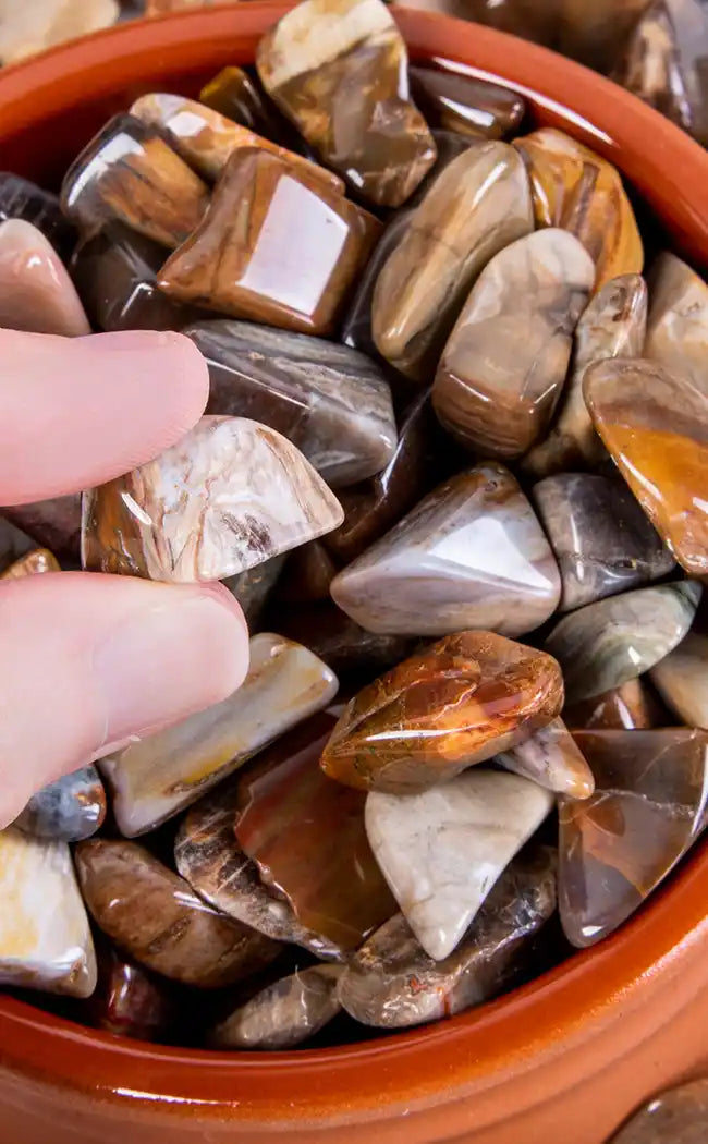 Tumbled Stones | Petrified Wood-Crystals-Tragic Beautiful