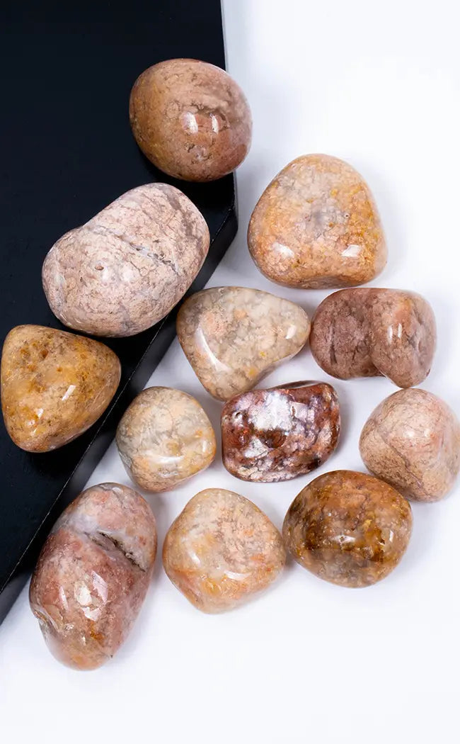 Tumbled Stones | Pink Flower Agate | XL Premium | Rare Crystals