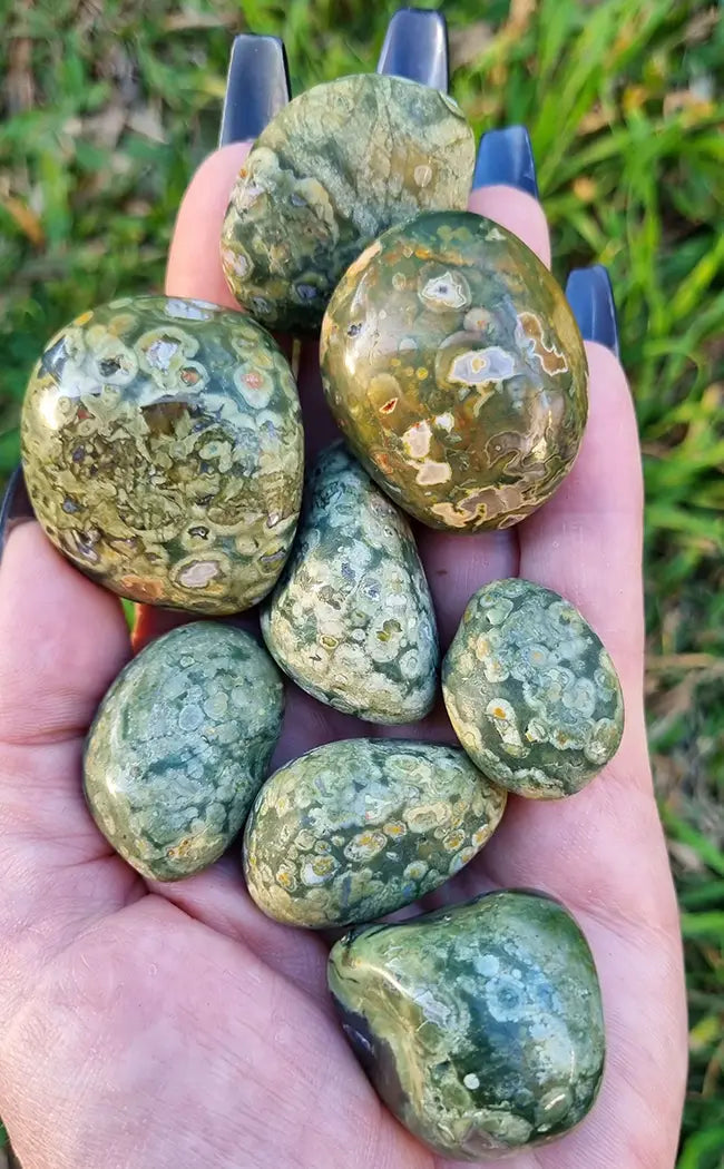 Tumbled Stones | Rainforest Jasper | Premium XL