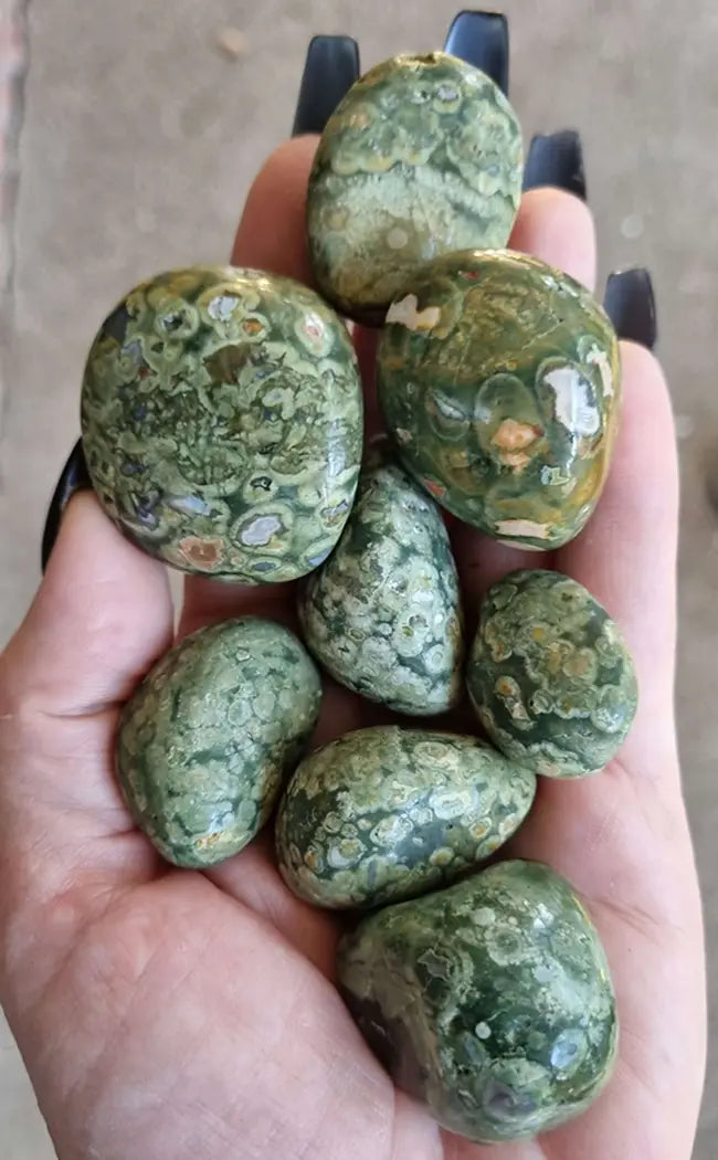 Tumbled Stones | Rainforest Jasper | Premium XL-Tumble Stones-Tragic Beautiful