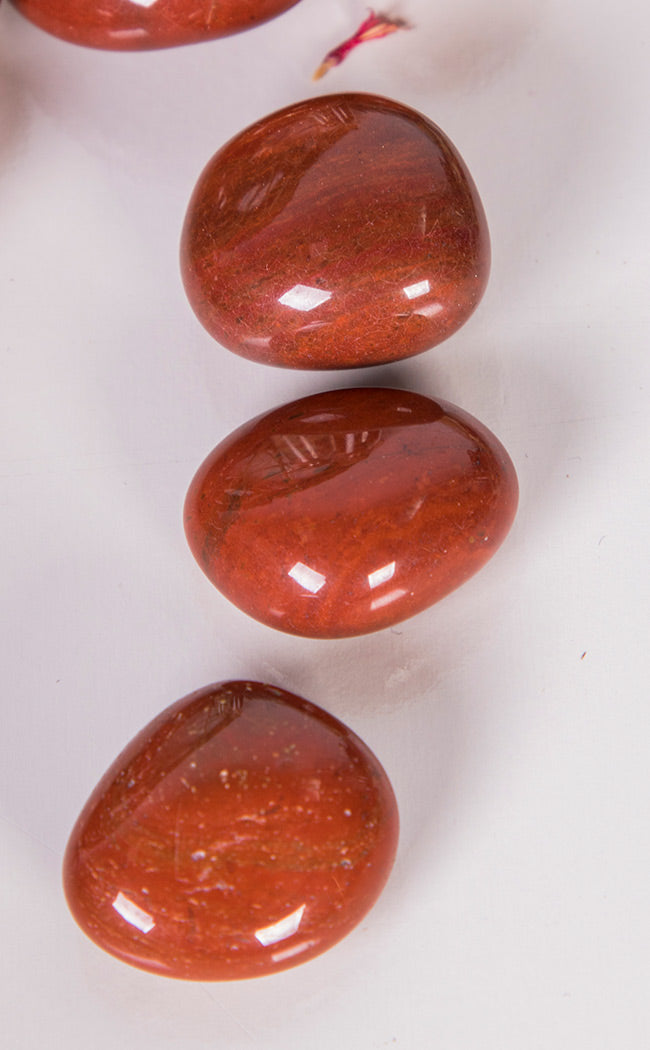 Tumbled Stones | Red Jasper-Crystals-Tragic Beautiful