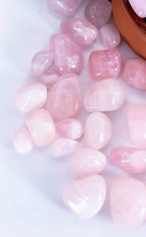 Tumbled Stones | Rose Quartz-Crystals-Tragic Beautiful