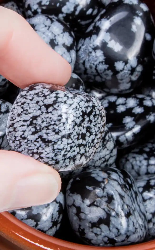 Tumbled Stones | Snowflake Obsidian-Crystals-Tragic Beautiful