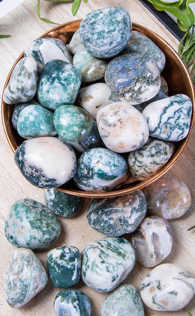 Tumbled Stones | Tree Agate-Crystals-Tragic Beautiful