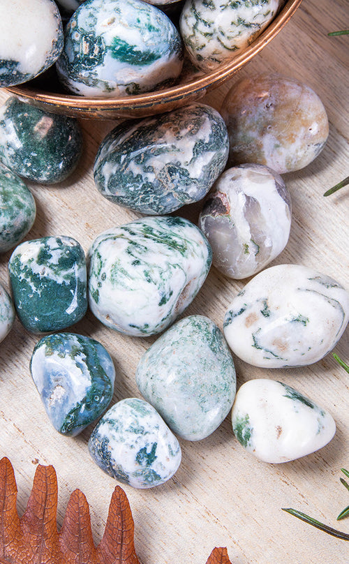 Timbled Tree Tree Agate Tumbled Stones | Witchy Crystals & Energy Healing Australia