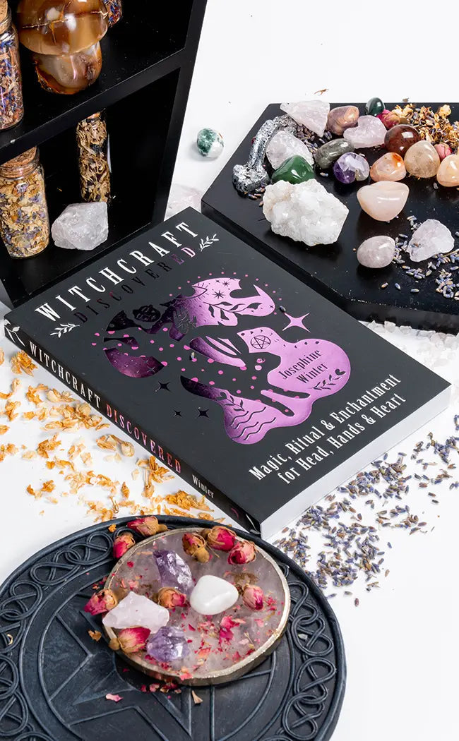 Witchcraft Discovered by Josephine Winter