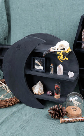 Apothecary Moon Shelf