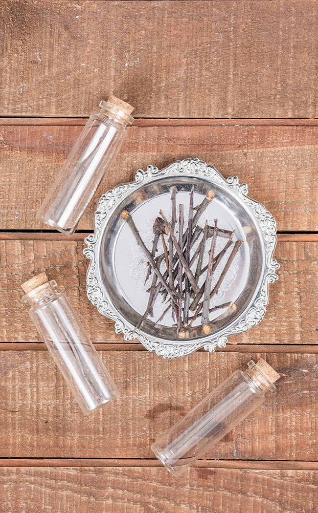 Blackthorn Pins / Thorns in Glass Jar