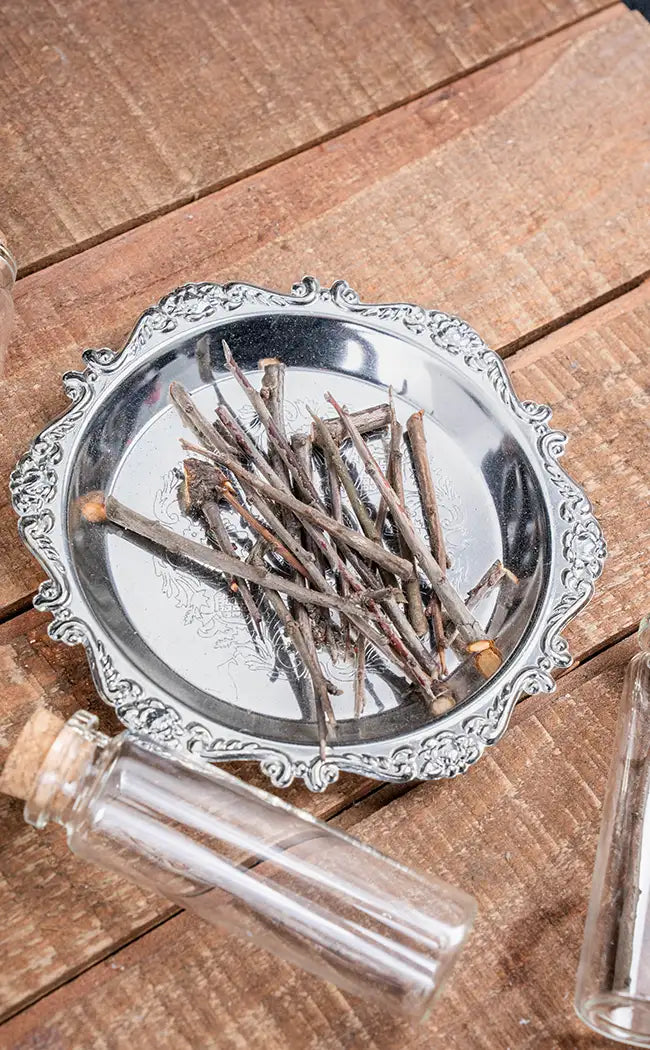 Blackthorn Pins / Thorns in Glass Jar