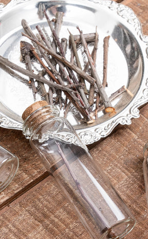 Blackthorn Pins / Thorns in Glass Jar