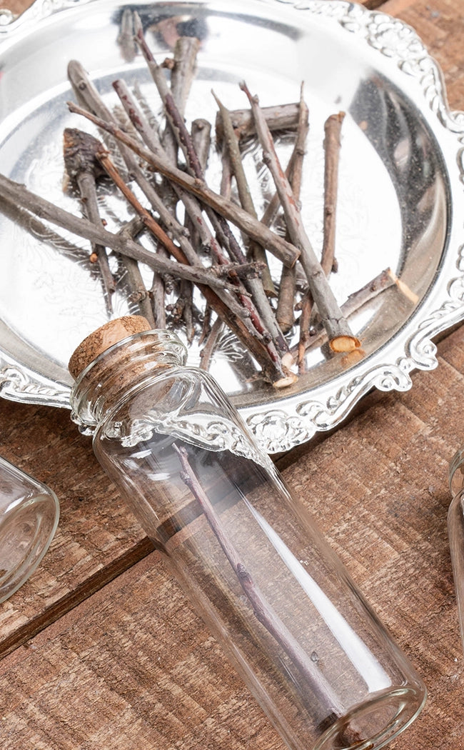 Blackthorn Pins / Thorns in Glass Jar