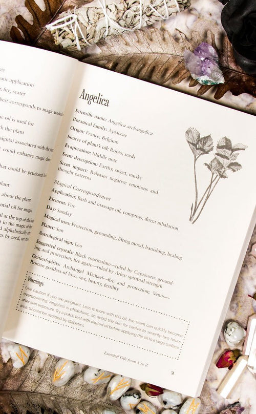 Blackthorn's Botanical Magic by Amy Blackthorn