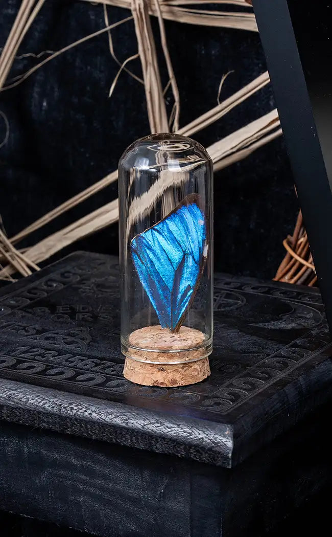 Blue Morpho Butterfly Wing in Vial