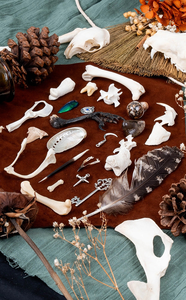 Bone Casting Set with Guide | Deluxe 25 Piece Set & Hide Casting Mat