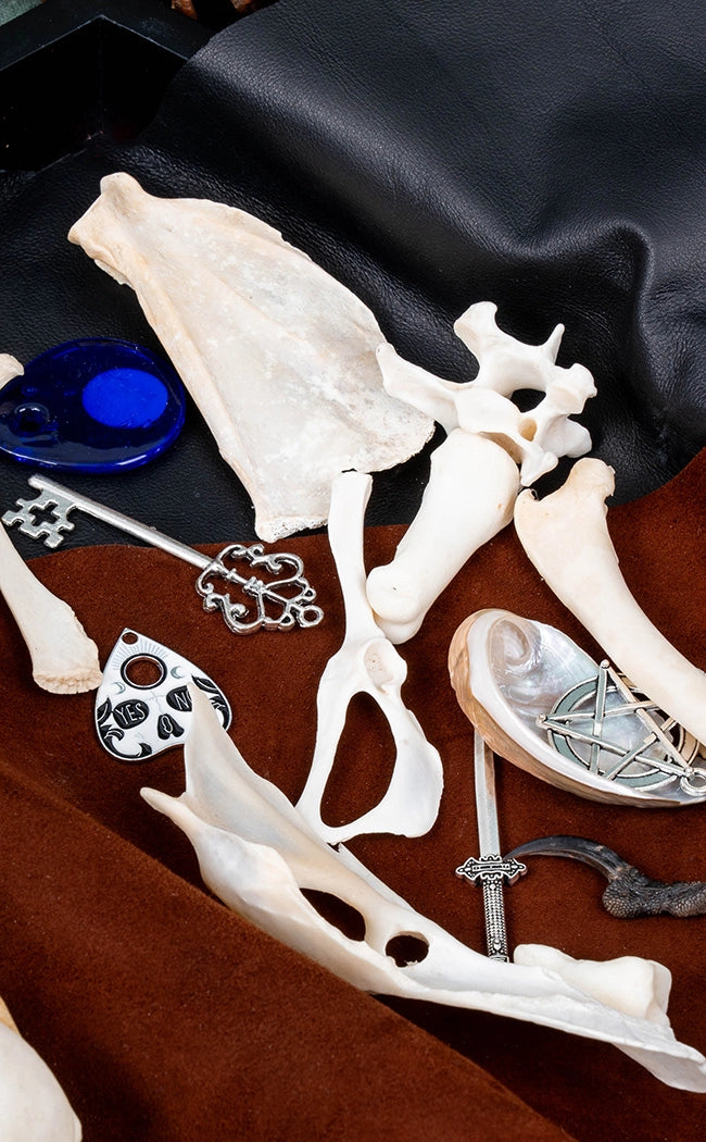 Bone Casting Set with Guide | Deluxe 25 Piece Set & Hide Casting Mat