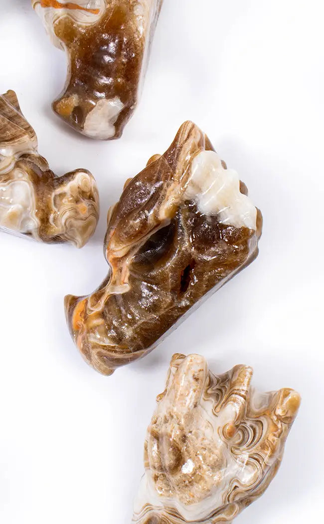 Chocolate Calcite Crystal Dragon Head-Crystals-Tragic Beautiful