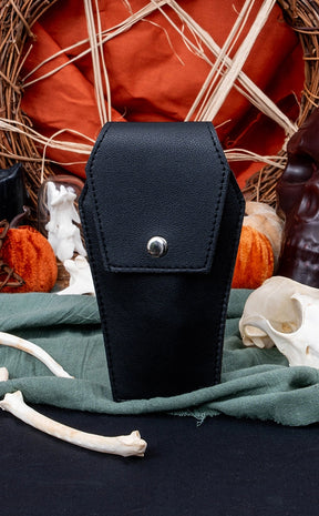 Divination Tool Kit in Coffin Case