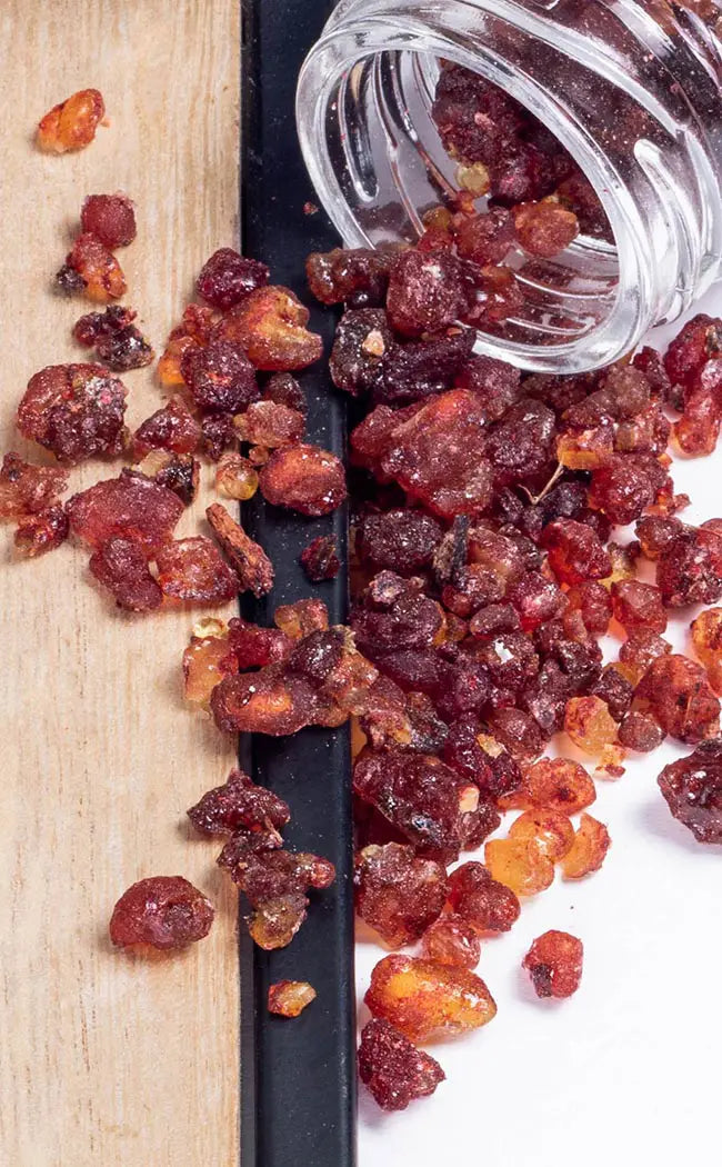 Dragon's Blood Resin Incense-Witch Herbs-Tragic Beautiful