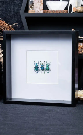 Framed Glitter Weevil Trio