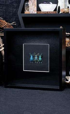 Framed Glitter Weevil Trio