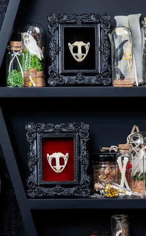 Frog Skull in Mini Vintage Frame