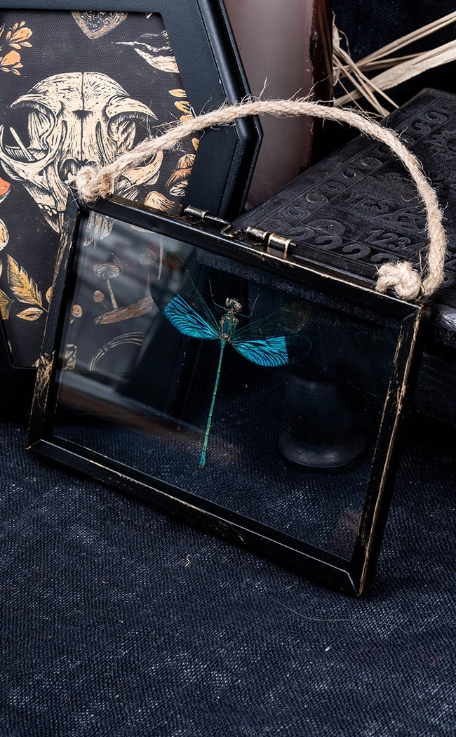 Glass Hanging Photo Frames