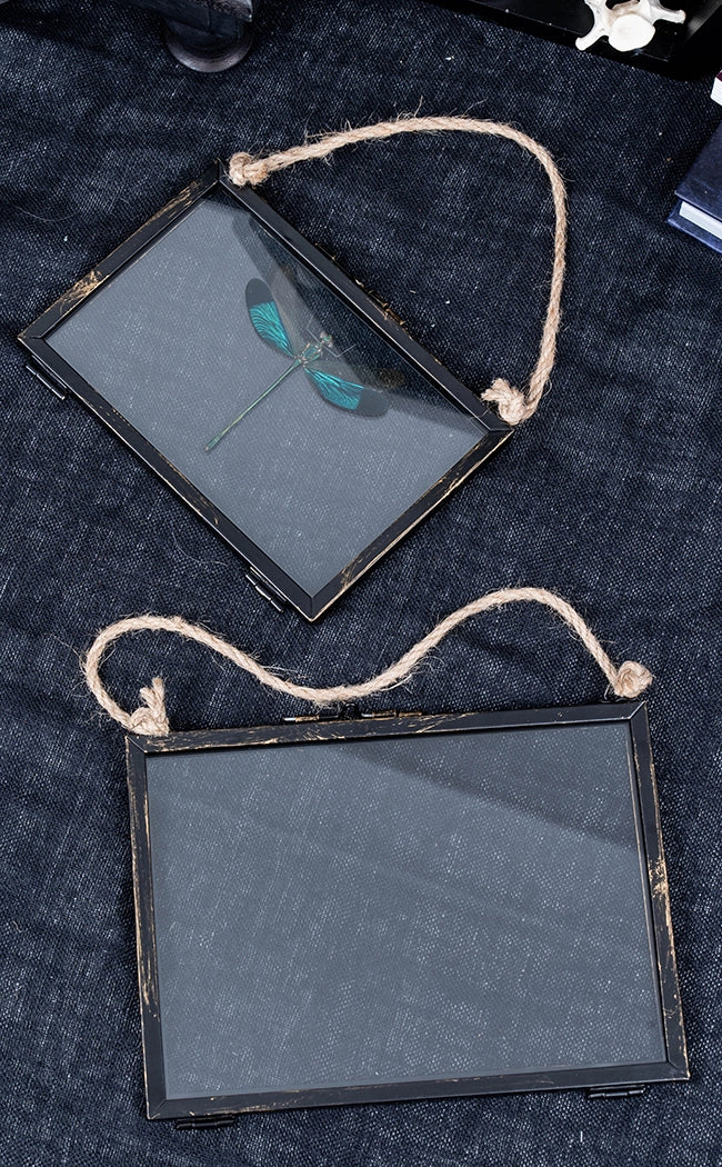 Glass Hanging Photo Frames