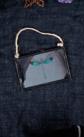 Glass Hanging Photo Frames