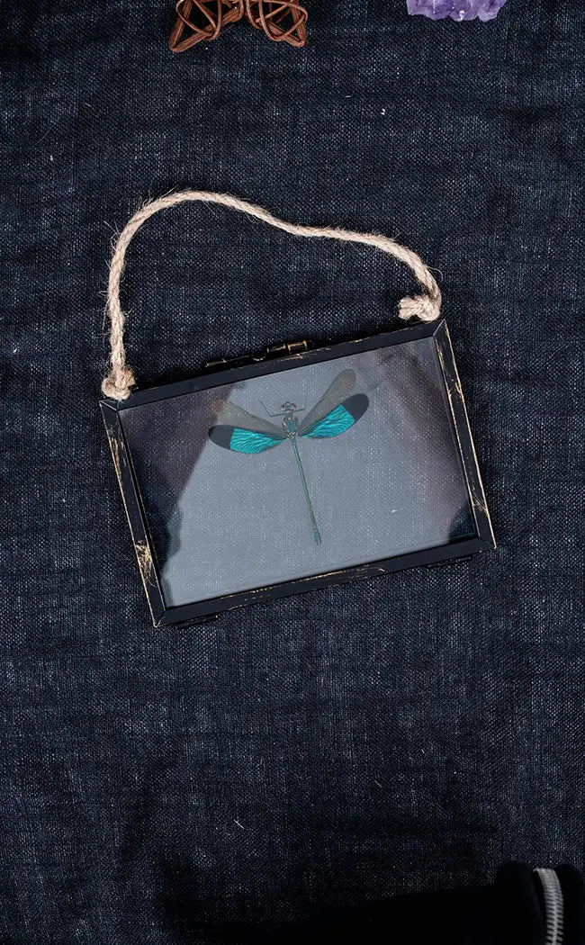 Glass Hanging Photo Frames