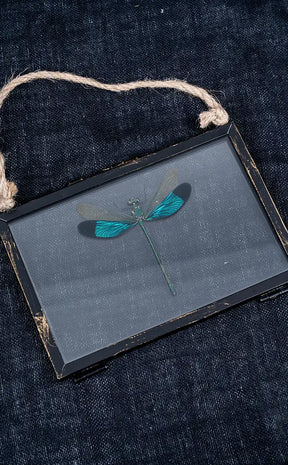 Glass Hanging Photo Frames
