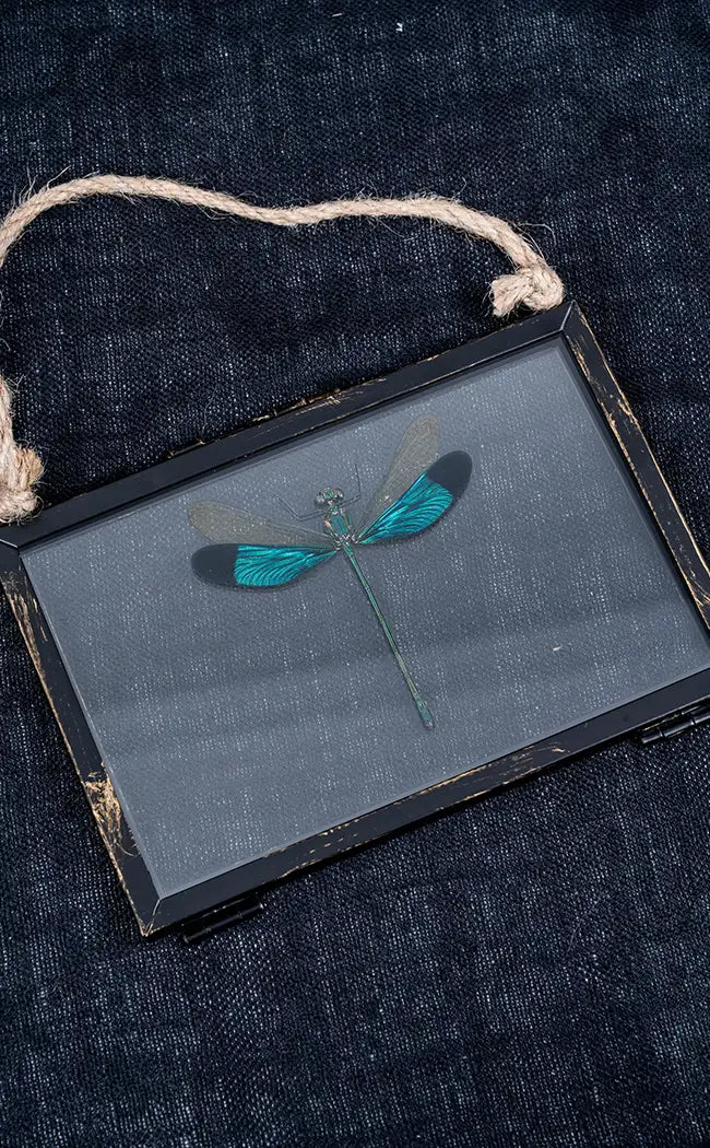 Glass Hanging Photo Frames