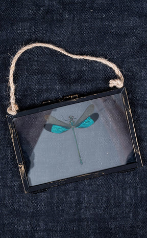 Glass Hanging Photo Frames