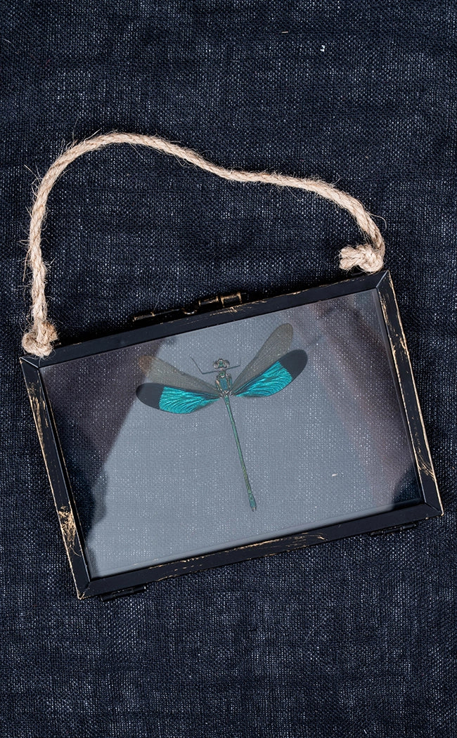 Glass Hanging Photo Frames