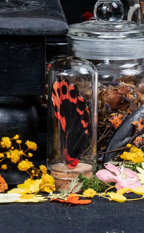 Glass Vial with Butterfly Wing