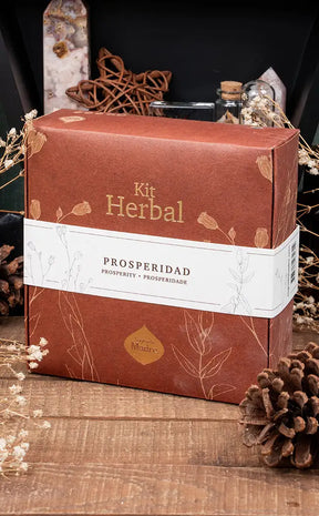Herbs & Incense Kit | Prosperity